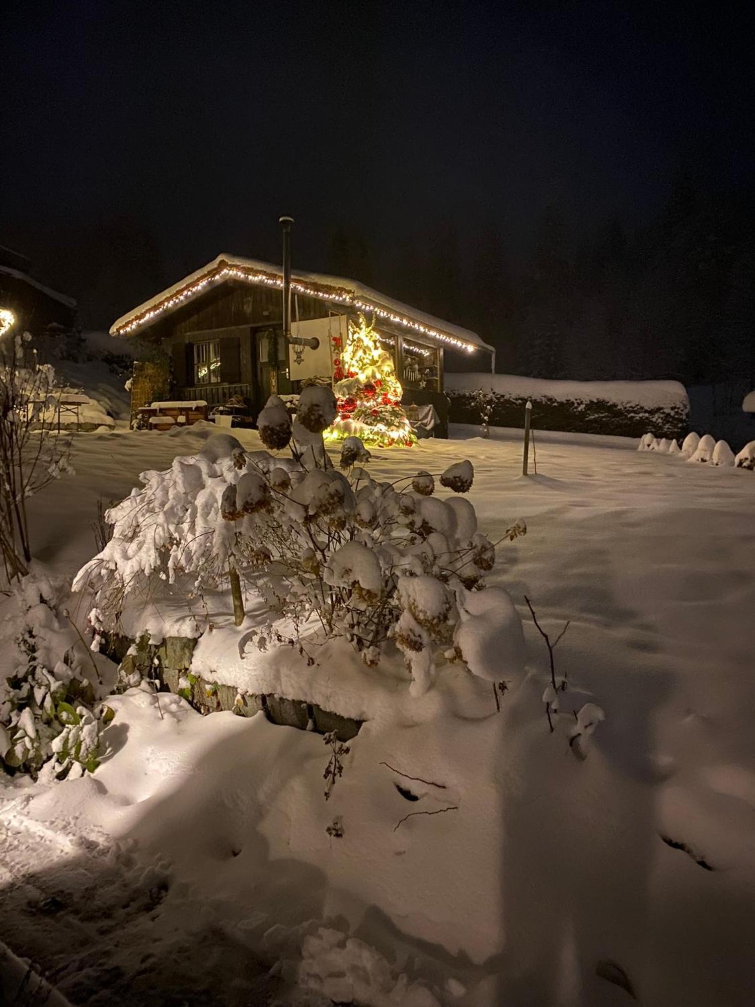 Das Alte Forsthaus Spiegelhuette Lindberg Exteriör bild