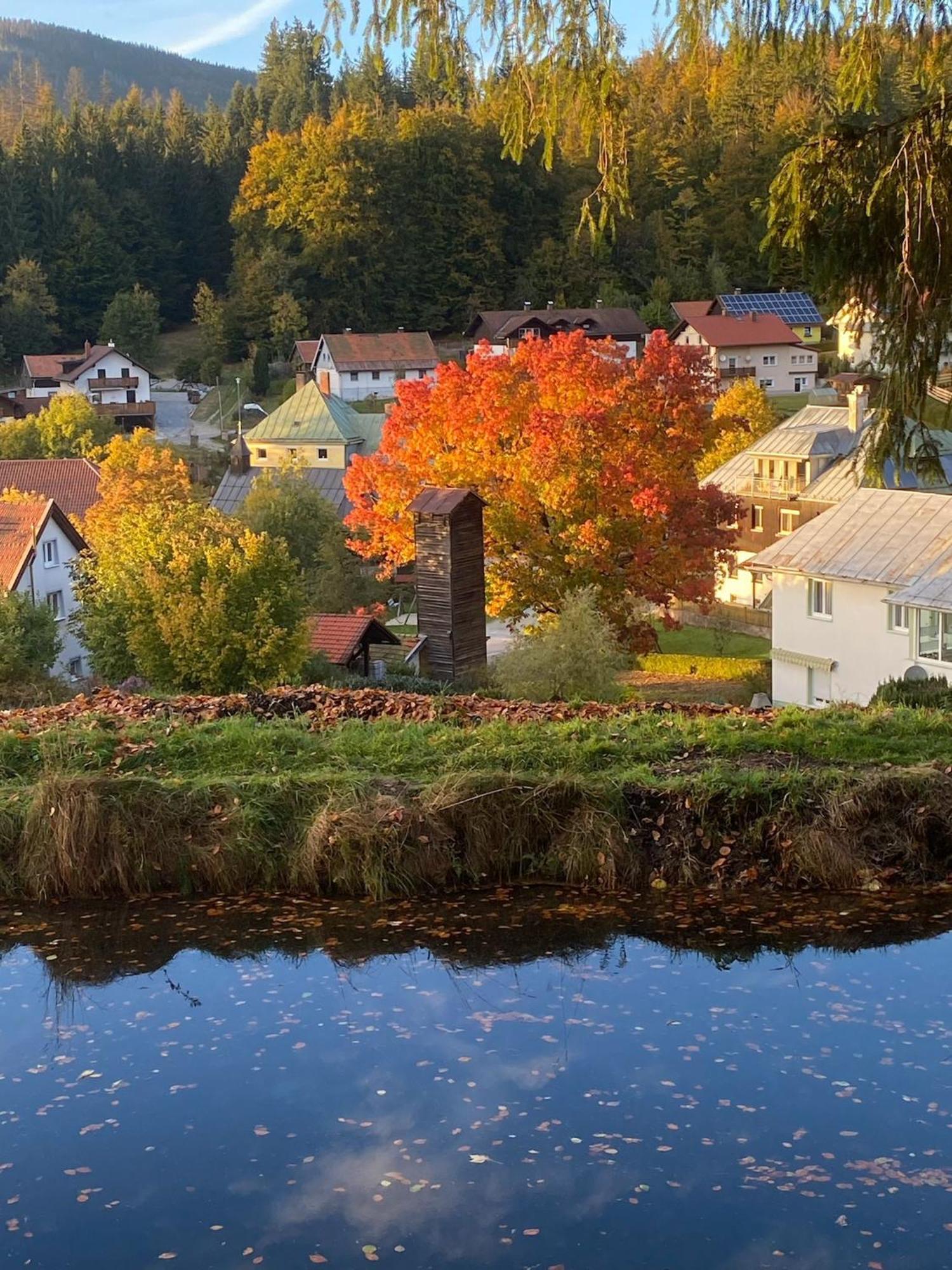 Das Alte Forsthaus Spiegelhuette Lindberg Exteriör bild