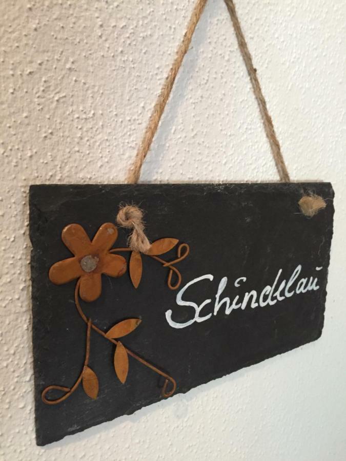 Das Alte Forsthaus Spiegelhuette Lindberg Exteriör bild