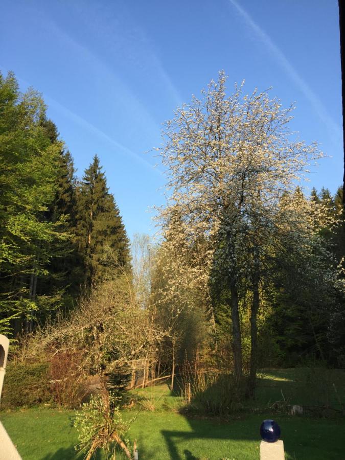 Das Alte Forsthaus Spiegelhuette Lindberg Exteriör bild